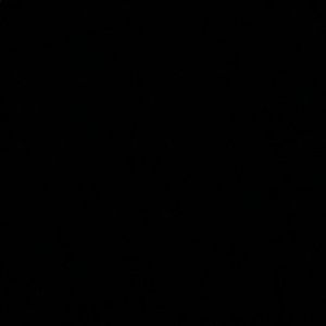 Meet your Posher, Ingrid